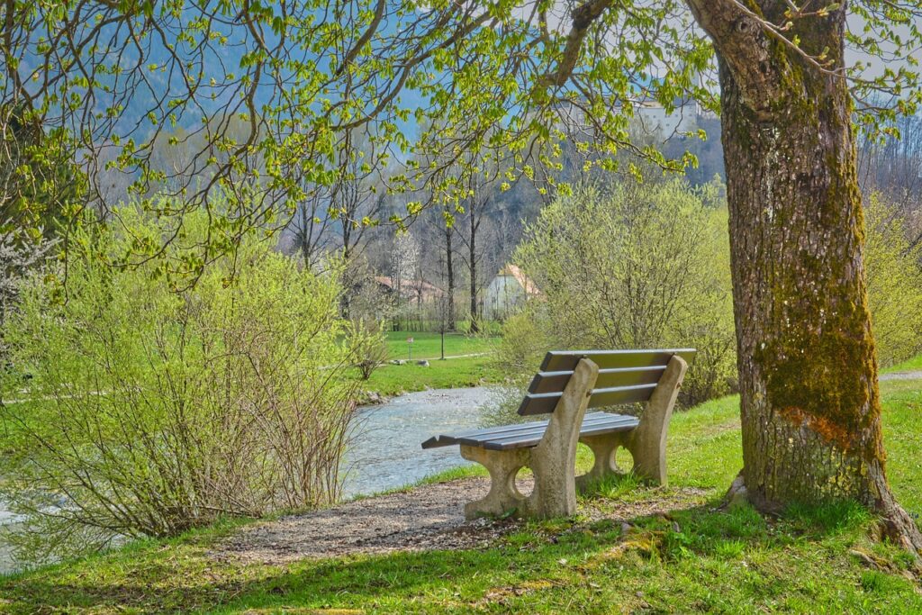 river, park, park bench, bench, riverbank, nature, landscape